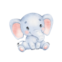 Daxiang , 巨象好用梯子加速器