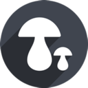 Mogu , 菌类好用梯子加速器